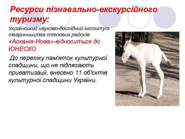 Ресурси пізнавально-екскурсійного туризму: Український науково-дослідний інститут тваринництва степових районів «Асканія-Нова» -відноситься до ЮНЕСКО До