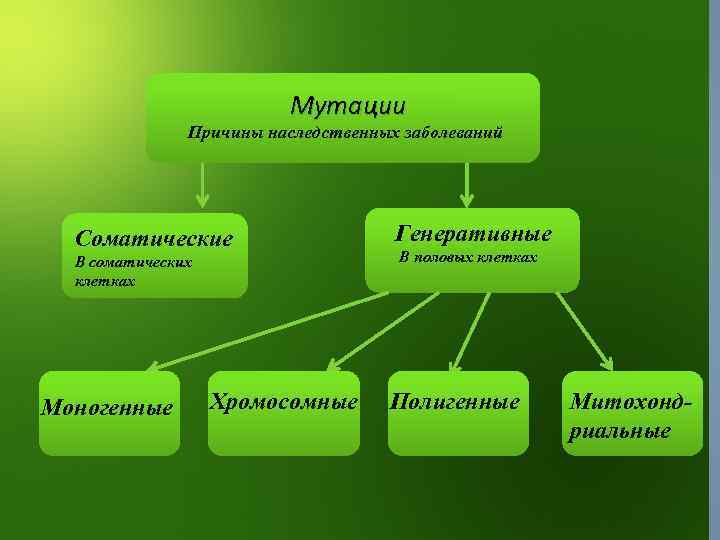 Мутации Причины наследственных заболеваний Соматические В соматических клетках Моногенные Хромосомные Генеративные В половых клетках