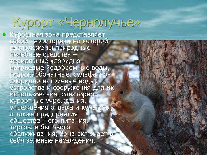 Курорт «Чернолучье» • Курортная зона представляет собой территорию, на которой расположены природные лечебные средства