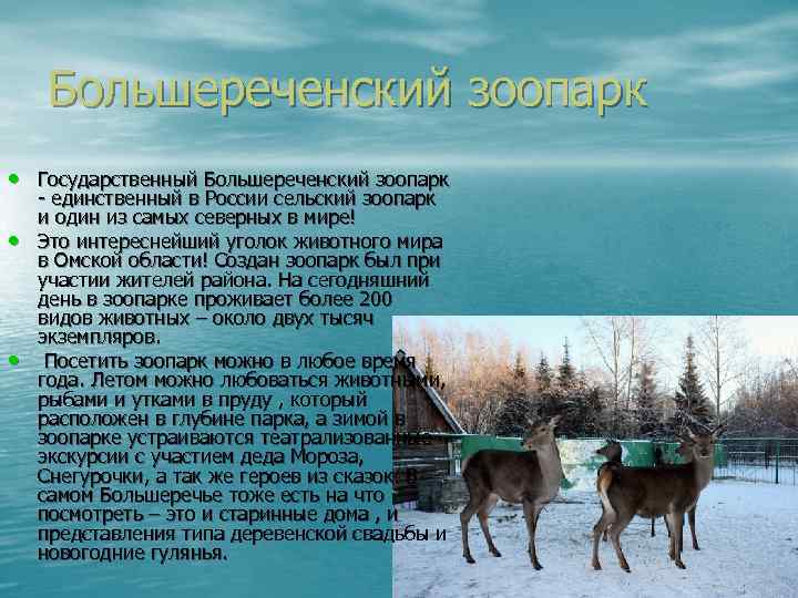 Большереченский зоопарк • Государственный Большереченский зоопарк • • - единственный в России сельский зоопарк