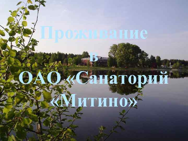 Проживание в ОАО «Санаторий «Митино» 