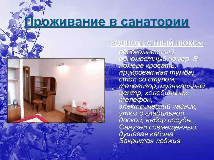 Проживание в санатории «ОДНОМЕСТНЫЙ ЛЮКС» : однокомнатный одноместный номер. В номере кровать, прикроватная тумба,