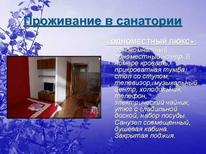 Проживание в санатории «ОДНОМЕСТНЫЙ ЛЮКС» : однокомнатный одноместный номер. В номере кровать, прикроватная тумба,