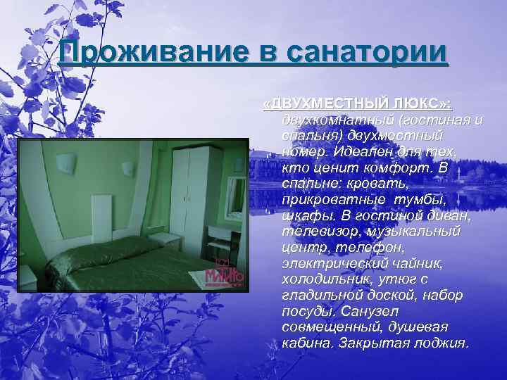 Проживание в санатории «ДВУХМЕСТНЫЙ ЛЮКС» : двухкомнатный (гостиная и спальня) двухместный номер. Идеален для