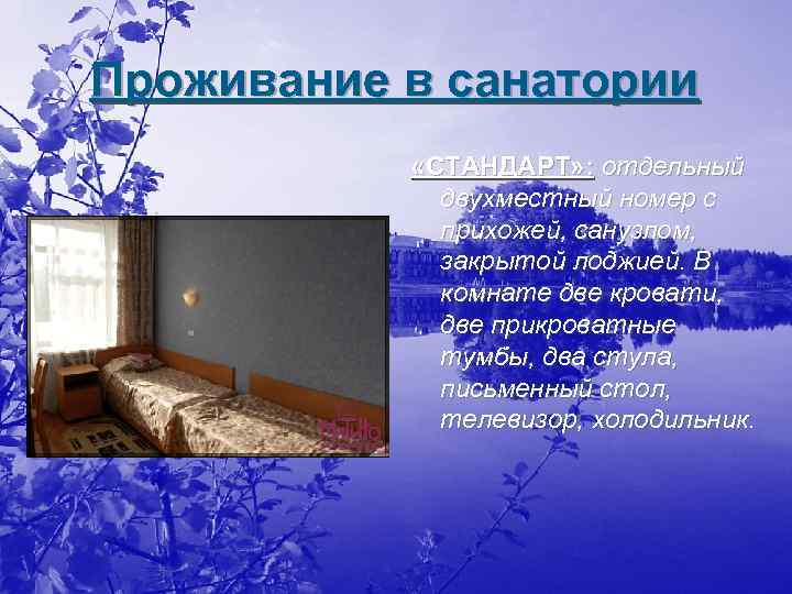 Проживание в санатории «СТАНДАРТ» : отдельный двухместный номер с прихожей, санузлом, закрытой лоджией. В