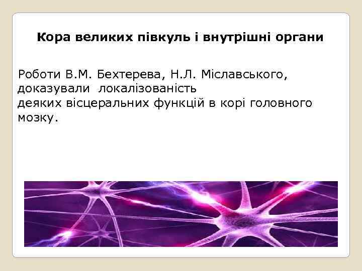Кора великих півкуль і внутрішні органи Роботи В. М. Бехтерева, Н. Л. Міславського, доказували