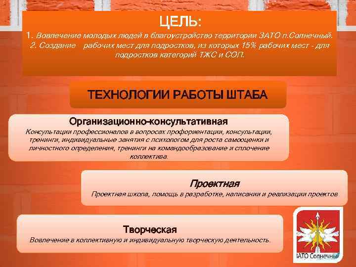 ЦЕЛЬ: 1. Вовлечение молодых людей в благоустройство территории ЗАТО п. Солнечный. 2. Создание рабочих