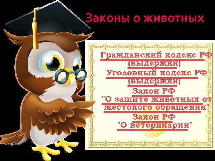 Законы о животных Гражданский кодекс РФ (выдержки) Уголовный кодекс РФ (выдержки) Закон РФ "О