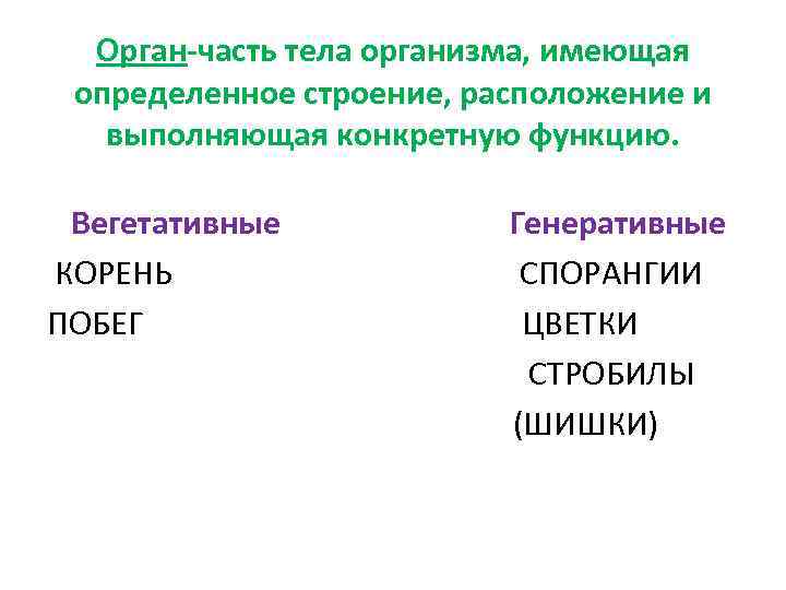 Орган-часть тела организма, имеющая определенное строение, расположение и выполняющая конкретную функцию. Вегетативные КОРЕНЬ ПОБЕГ