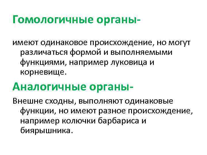 Гомологичные органыимеют одинаковое происхождение, но могут различаться формой и выполняемыми функциями, например луковица и