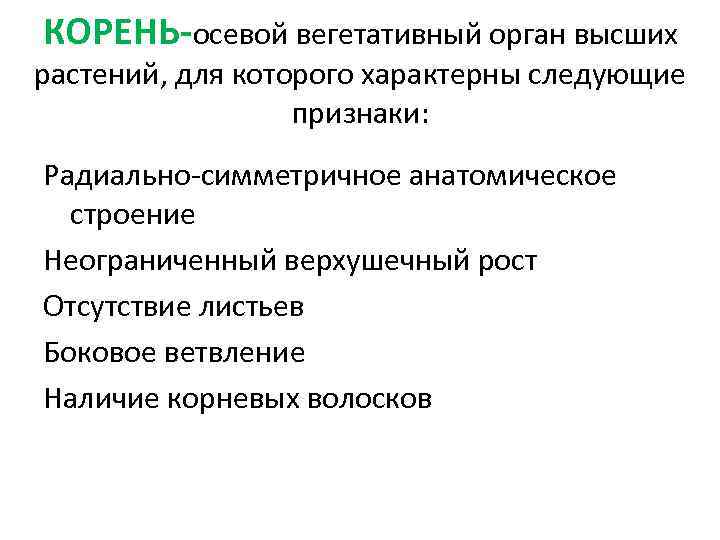 КОРЕНЬ-осевой вегетативный орган высших растений, для которого характерны следующие признаки: Радиально-симметричное анатомическое строение Неограниченный