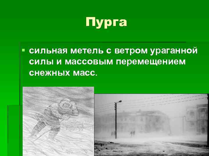 Пурга § сильная метель с ветром ураганной силы и массовым перемещением снежных масс. 