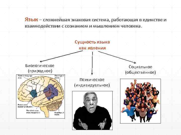 Язык – сложнейшая знаковая система, работающая в единстве и взаимодействии с сознанием и мышлением