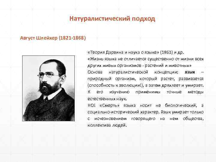 Натуралистический подход Август Шлейхер (1821 -1868) «Теория Дарвина и наука о языке» (1863) и