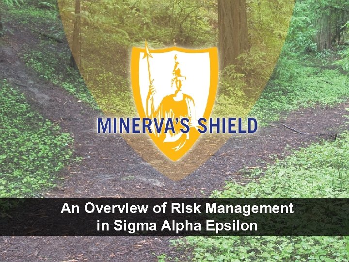 An Overview of Risk Management in Sigma Alpha Epsilon 