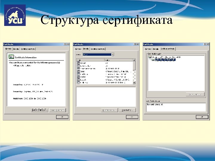 Структура сертификата 