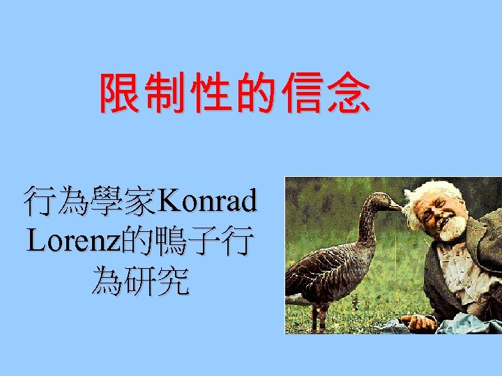 限制性的信念 行為學家Konrad Lorenz的鴨子行 為研究 