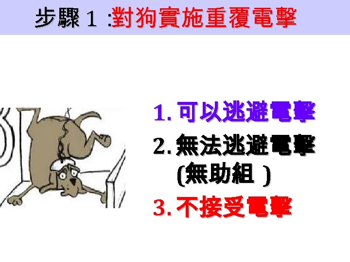 步驟 1： 對狗實施重覆電擊 1. 可以逃避電擊 2. 無法逃避電擊 (無助組 ) 3. 不接受電擊 