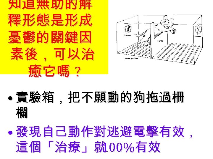 知道無助的解 釋形態是形成 憂鬱的關鍵因 素後，可以治 癒它嗎 ? • 實驗箱，把不願動的狗拖過柵 欄 • 發現自己動作對逃避電擊有效， 這個「治療」就 100%有效 