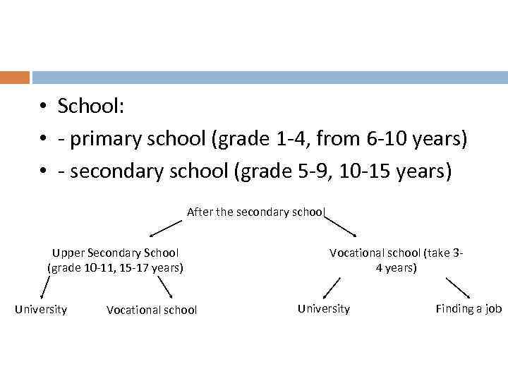  • School: • - primary school (grade 1 -4, from 6 -10 years)