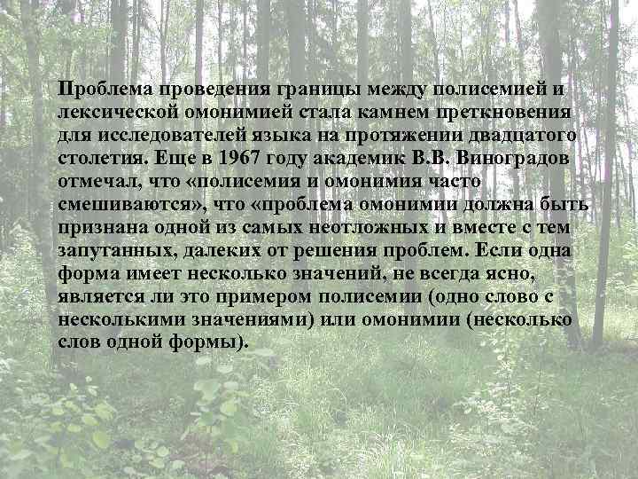 Проблема проведения границы между полисемией и лексической омонимией стала камнем преткновения для исследователей языка
