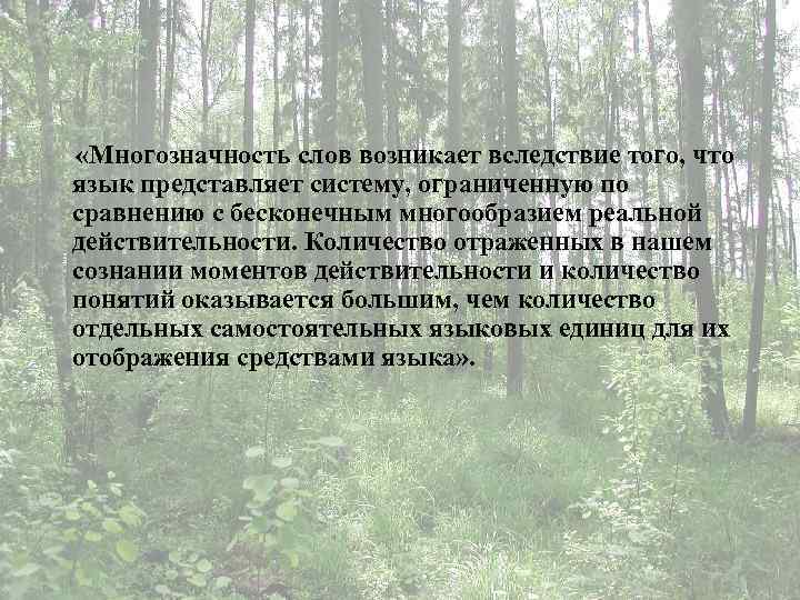  «Многозначность слов возникает вследствие того, что язык представляет систему, ограниченную по сравнению с