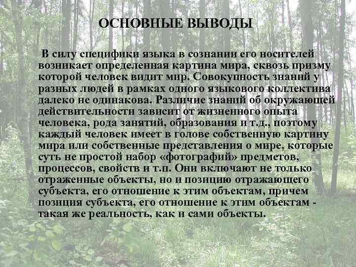 ОСНОВНЫЕ ВЫВОДЫ В силу специфики языка в сознании его носителей возникает определенная картина мира,
