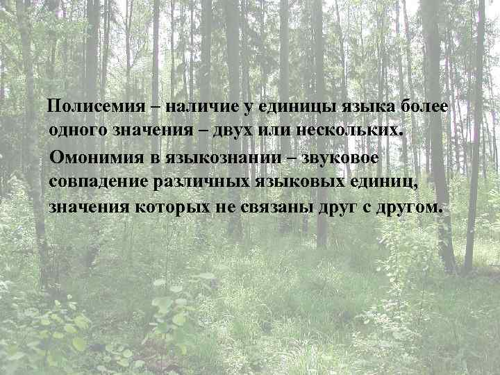 Полисемия – наличие у единицы языка более одного значения – двух или нескольких. Омонимия
