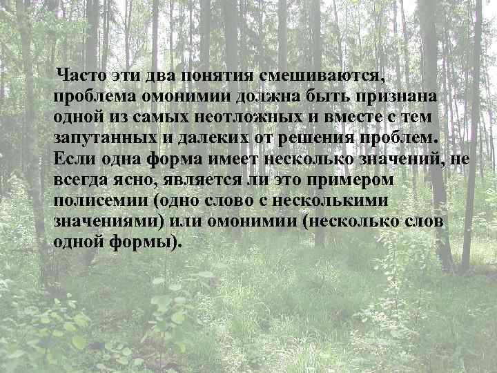 Часто эти два понятия смешиваются, проблема омонимии должна быть признана одной из самых неотложных