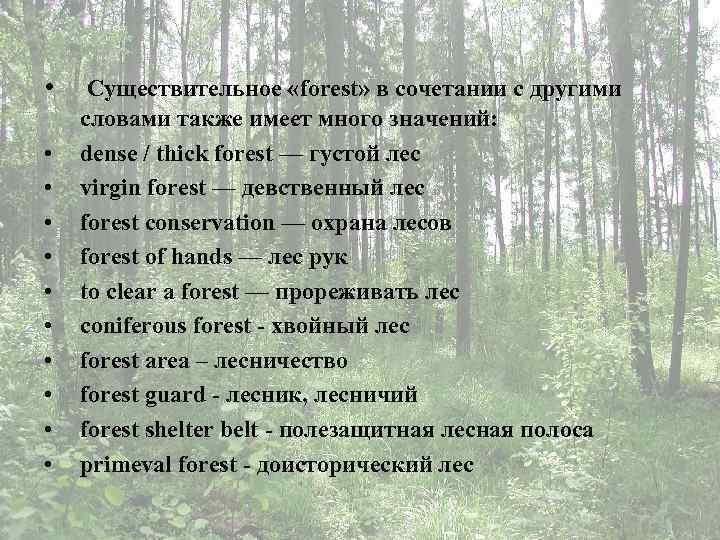  • • • Существительное «forest» в сочетании с другими словами также имеет много
