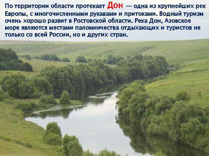 По территории области протекает Дон — одна из крупнейших рек Европы, с многочисленными рукавами