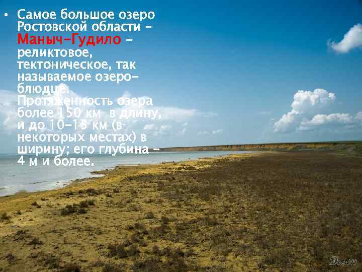  • Самое большое озеро Ростовской области – Маныч-Гудило реликтовое, тектоническое, так называемое озероблюдце.