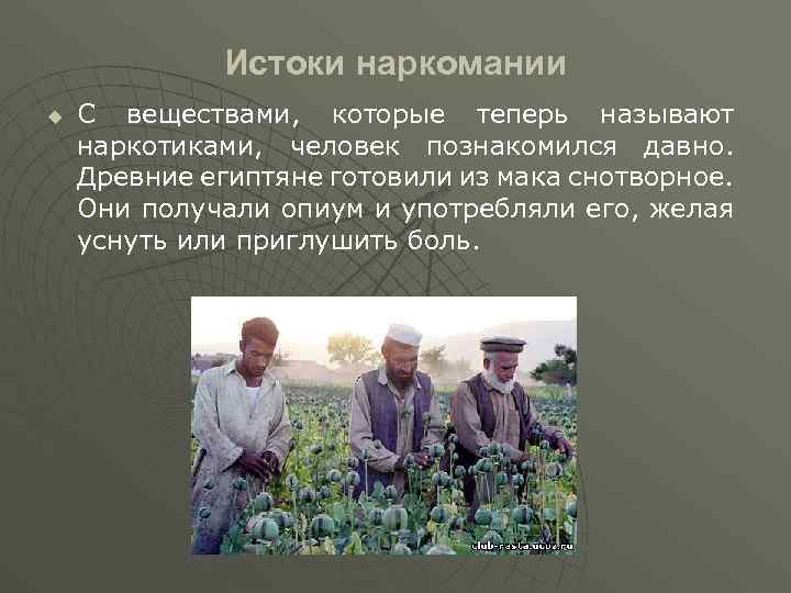 Истоки наркомании u С веществами, которые теперь называют наркотиками, человек познакомился давно. Древние египтяне
