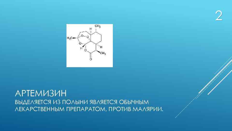 2 АРТЕМИЗИН ВЫДЕЛЯЕТСЯ ИЗ ПОЛЫНИ ЯВЛЯЕТСЯ ОБЫЧНЫМ ЛЕКАРСТВЕННЫМ ПРЕПАРАТОМ, ПРОТИВ МАЛЯРИИ. 