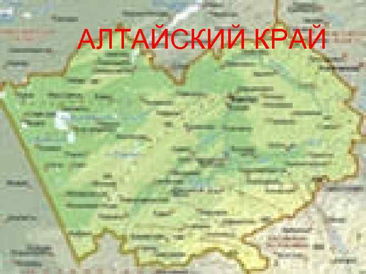  АЛТАЙСКИЙ КРАЙ 