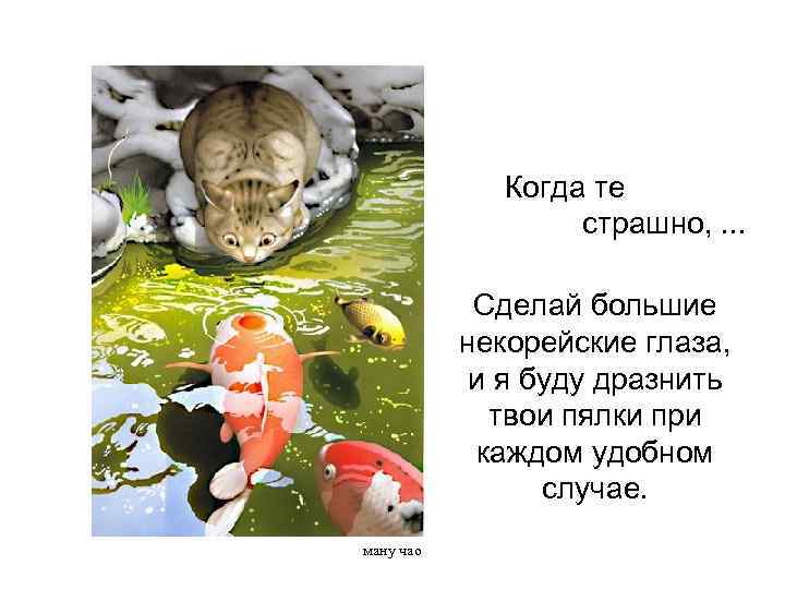 Когда те страшно, . . . Сделай большие некорейские глаза, и я буду дразнить