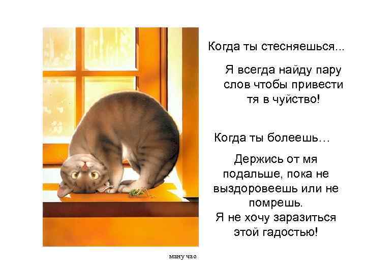 Когда ты стесняешься. . . Я всегда найду пару слов чтобы привести тя в