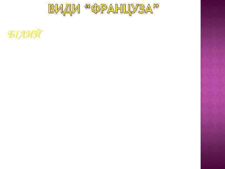 ВИДИ “ФРАНЦУЗА” БІЛИЙ 