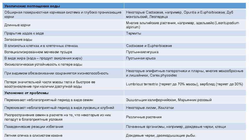 Увеличение поглощения воды Обширная поверхностная корневая система и глубоко проникающие корни Некоторые Сасtасеае, например,