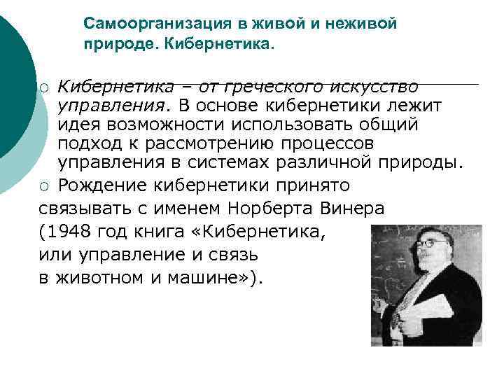 Самоорганизация в живой и неживой природе. Кибернетика – от греческого искусство управления. В основе