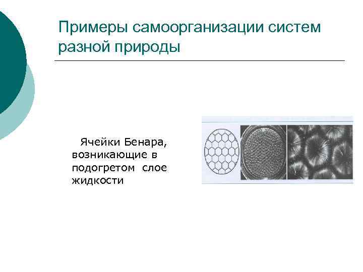Примеры самоорганизации систем разной природы Ячейки Бенара, возникающие в подогретом слое жидкости 