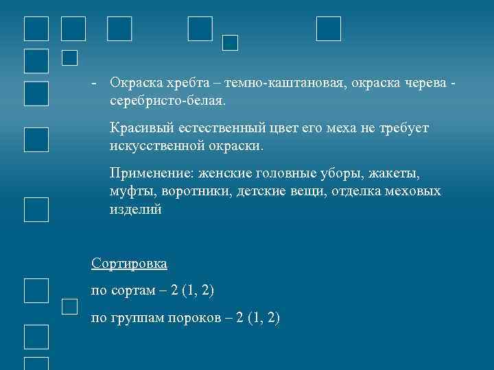 - Окраска хребта – темно-каштановая, окраска черева - серебристо-белая. Красивый естественный цвет его меха