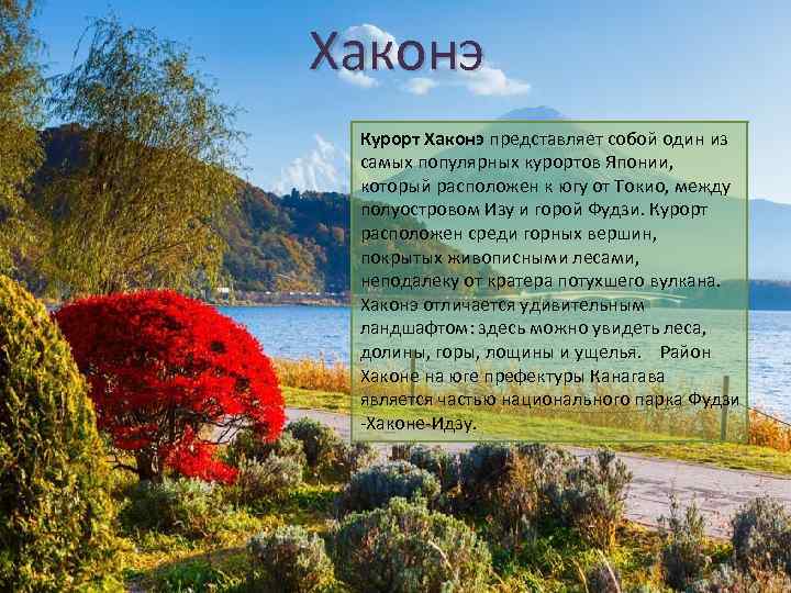 Хаконэ Курорт Хаконэ представляет собой один из самых популярных курортов Японии, который расположен к