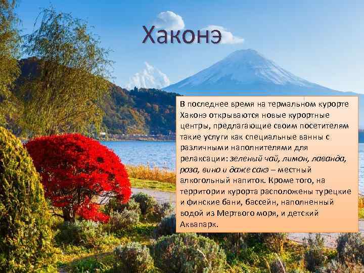 Хаконэ В последнее время на термальном курорте Хаконэ открываются новые курортные центры, предлагающие своим