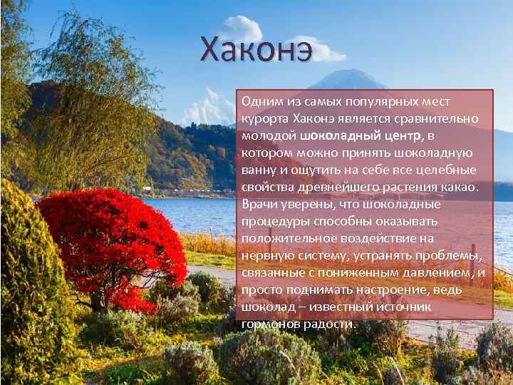 Хаконэ Одним из самых популярных мест курорта Хаконэ является сравнительно молодой шоколадный центр, в