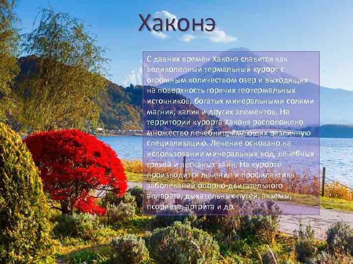 Хаконэ С давних времен Хаконэ славится как великолепный термальный курорт с огромным количеством озер