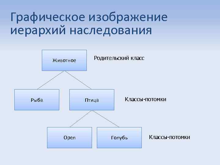 Графическое изображение иерархической структуры называется. Иерархические Графическое изображение. Иерархия наследственности. Иерархическое наследование это. Элементы программы иерархически наследуются.