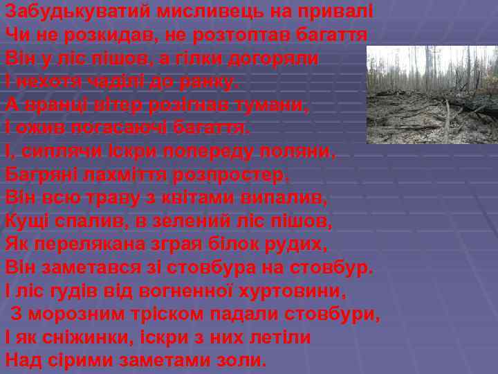 Забудькуватий мисливець на привалі Чи не розкидав, не розтоптав багаття Він у ліс пішов,