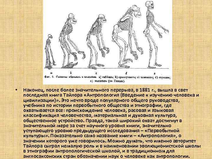  • Наконец, после более значительного перерыва, в 1881 г. , вышла в свет