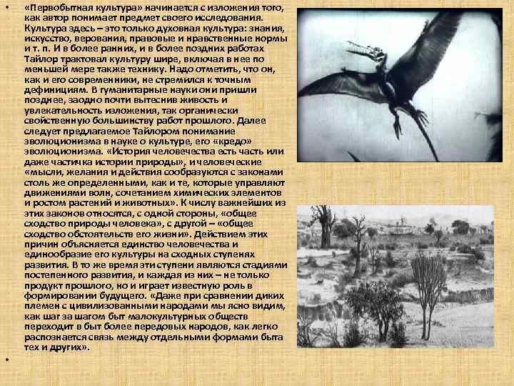  • • «Первобытная культура» начинается с изложения того, как автор понимает предмет своего